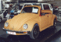 [thumbnail of VW NaturalBeetle.jpg]